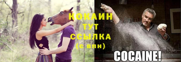 бутират Арсеньев
