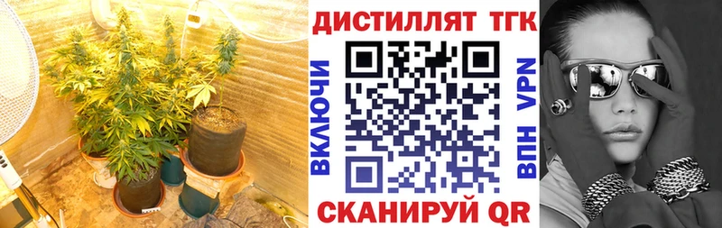 магазин продажи   Тавда  Дистиллят ТГК THC oil 